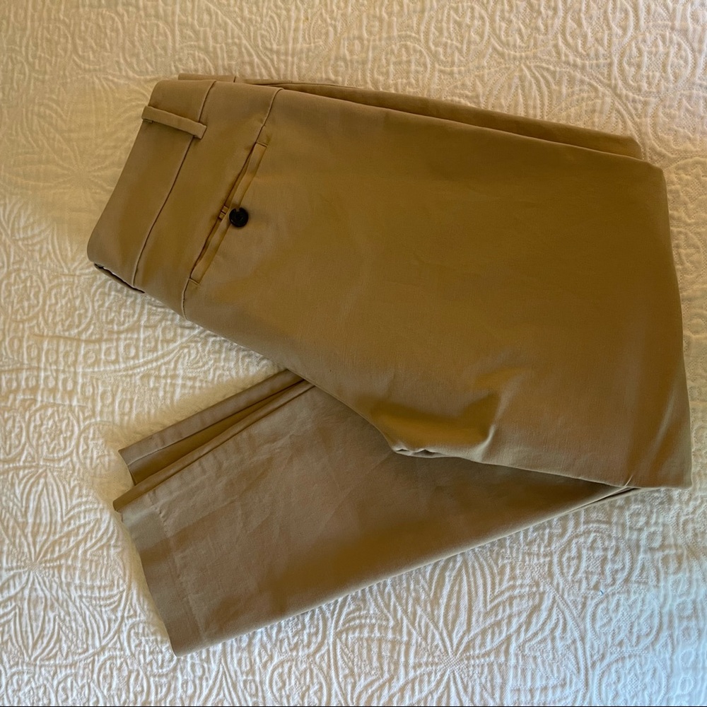 Ann Taylor Ankle Pants Size 6
